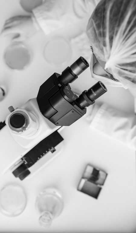 Detalle de microscopía