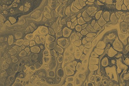 Textura de microscopía