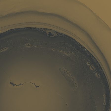 Investigadora trabajando con un microscopio